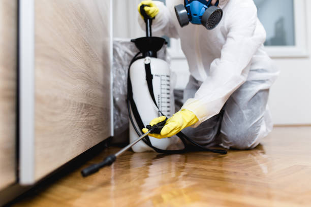 Best Residential Pest Control  in Delshire, OH