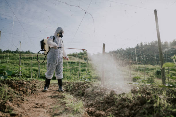 Best Pest Prevention Services  in Delshire, OH