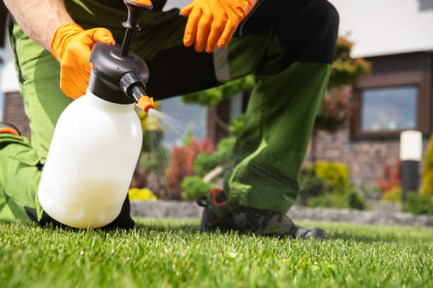 Best Pest Inspection Near Me  in Delshire, OH