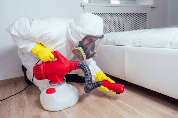 Best Pest Removal Services  in Delshire, OH