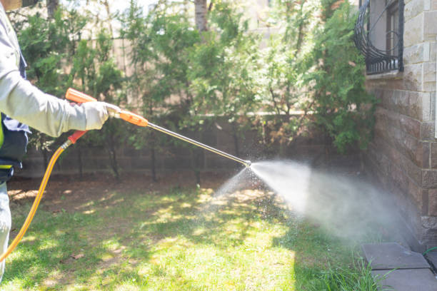 Professional Pest Control in Delshire, OH