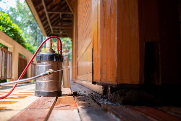 Best Termite Control Services  in Delshire, OH
